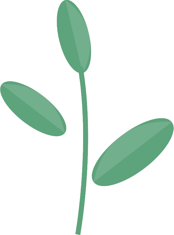 小草 小草